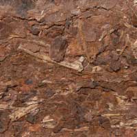 Briquette de bois compresse pour la nuit