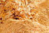 Sciure de bois
